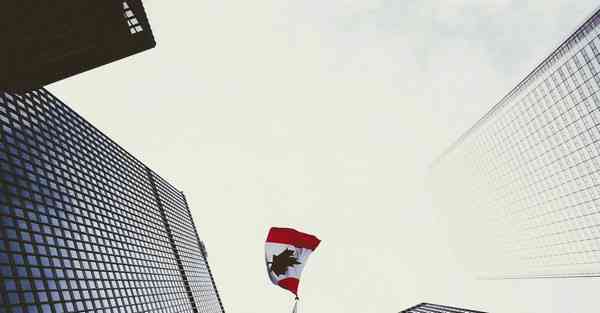 展厅互动多媒体机构_展厅互动多媒体软件