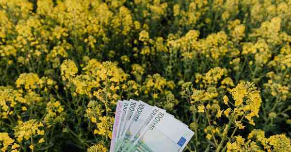 多功能置物架推荐_多功能置物架推荐排行榜第一名