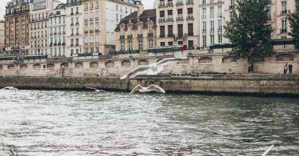 科技手抄报大全一等奖_科技手抄报大全一等奖四年级带字