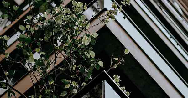 文旅集团简介_文旅集团简介董事长